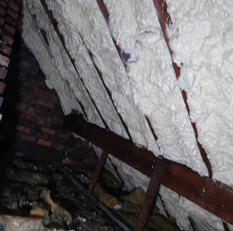 Everything Insulation gallery photo 3